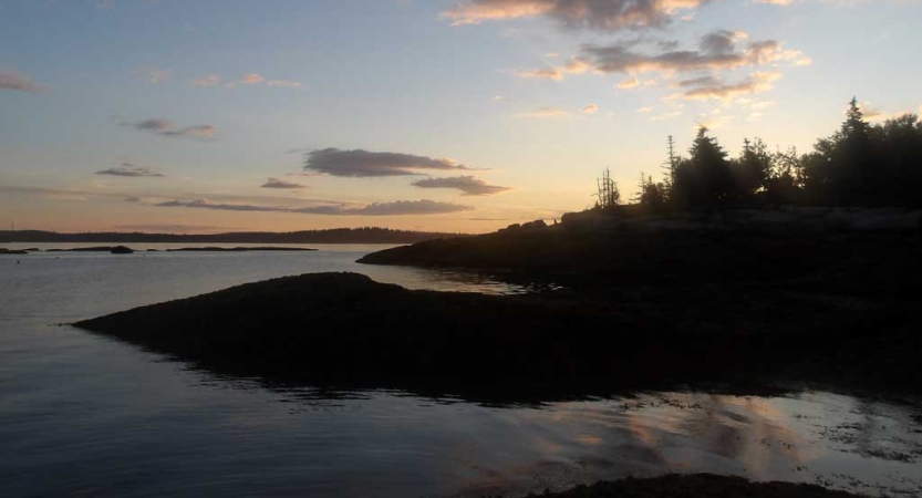 The sky appears in gentle colors above trees and a body of water. 